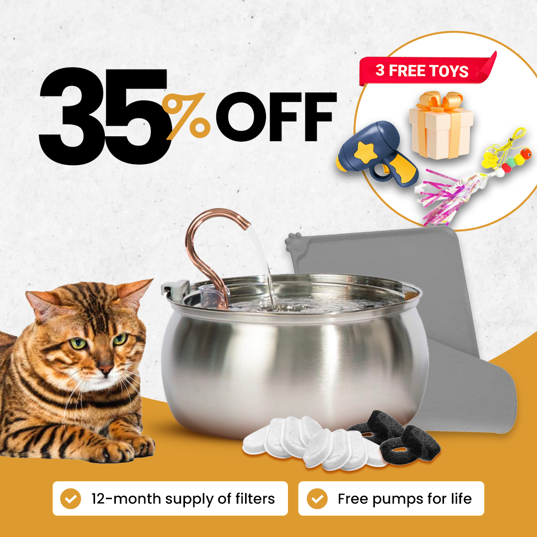 The Purrr-fect KittySpout Kit