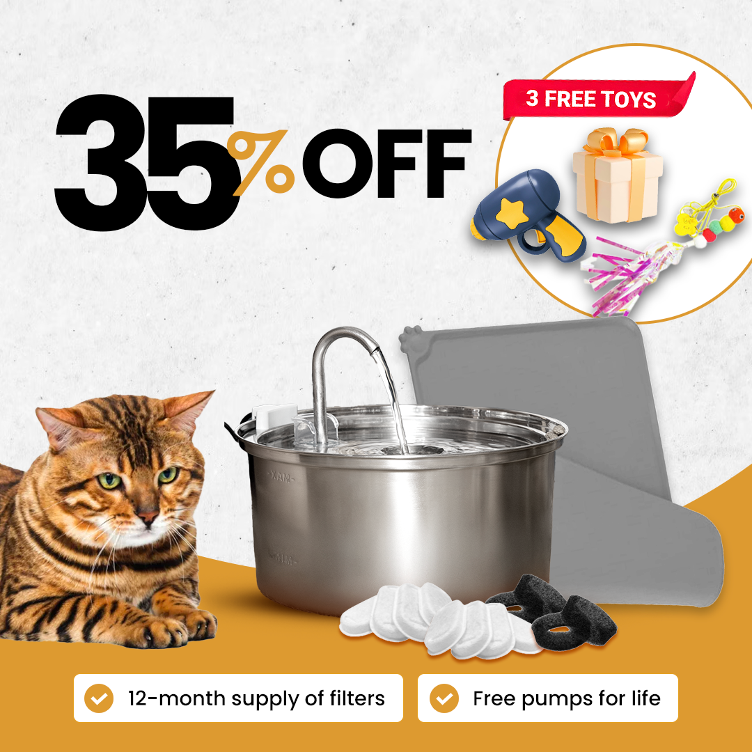 The Purrr-fect KittySpout Kit