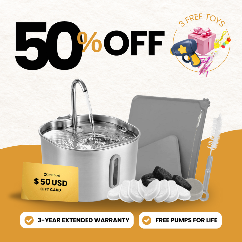 The KittySpout™ - 2.2L Value Bundle