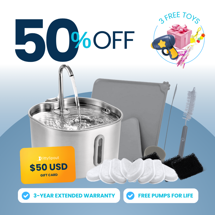 The KittySpout™ - 2.2L VIP Value Bundle