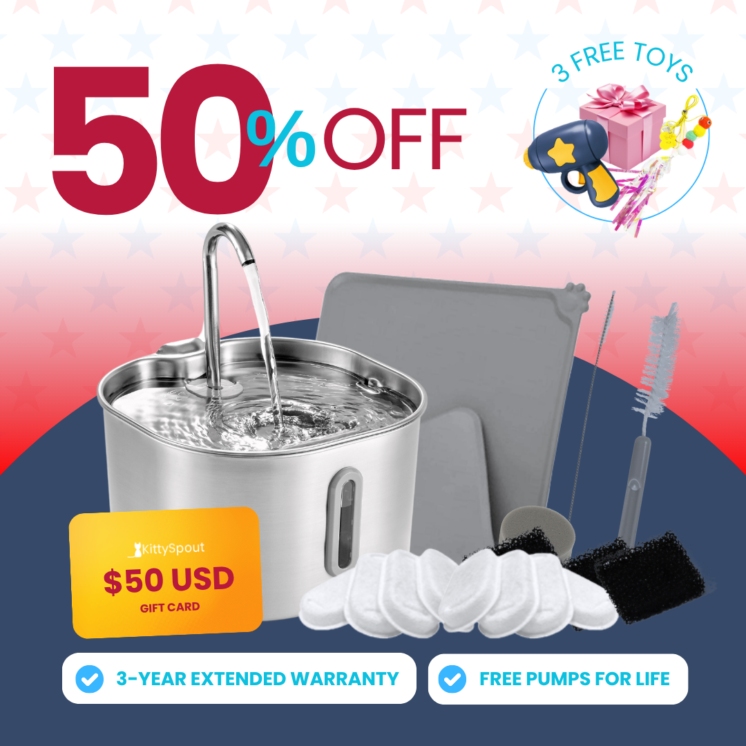 The KittySpout™ - 2.2L VIP Value Bundle