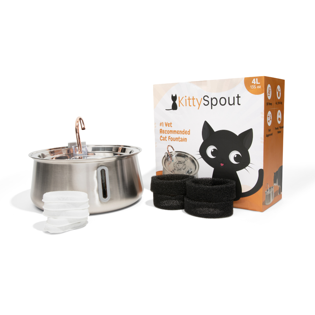 The KittySpout™ 2.0 - Health & Happiness Cat Kit