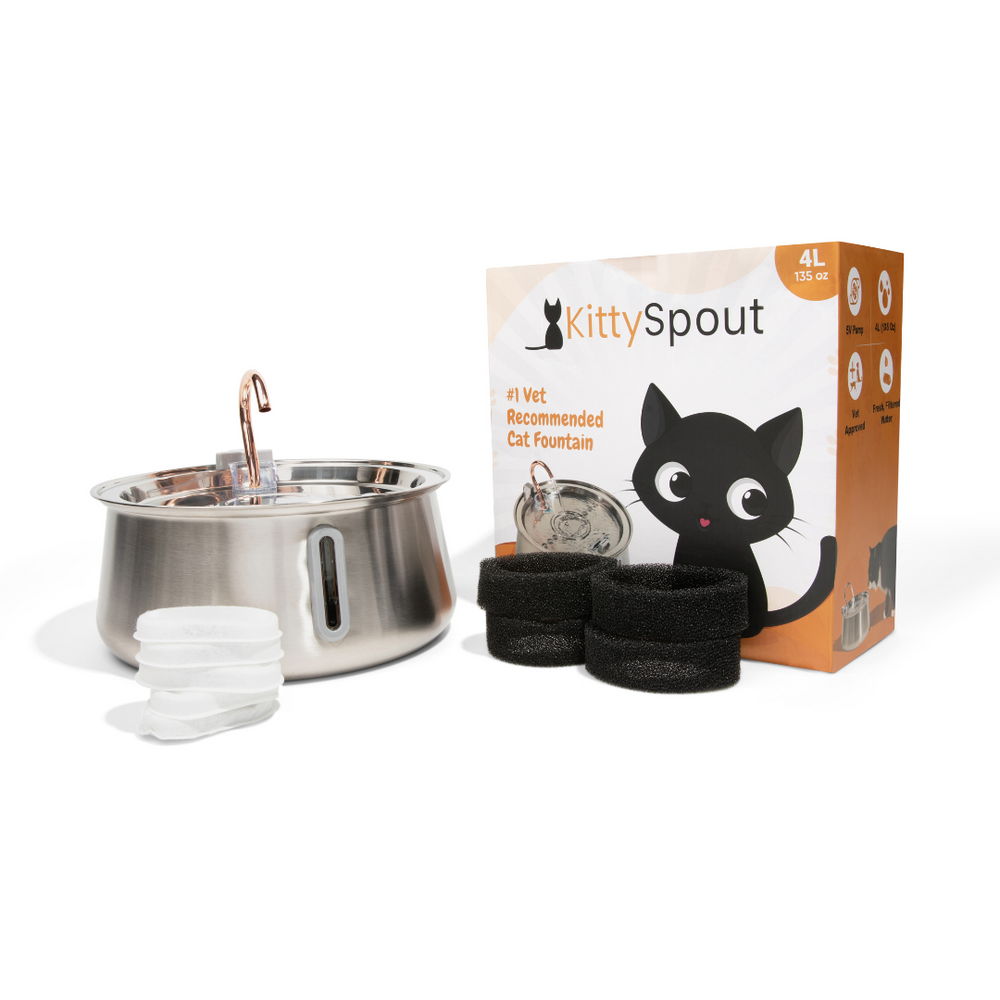 The KittySpout™ 2.0 - Health & Happiness Cat Kit