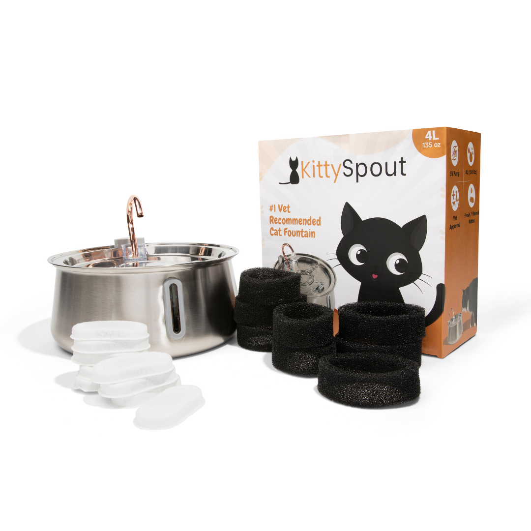 The KittySpout™ 2.0 - Health & Happiness Cat Kit