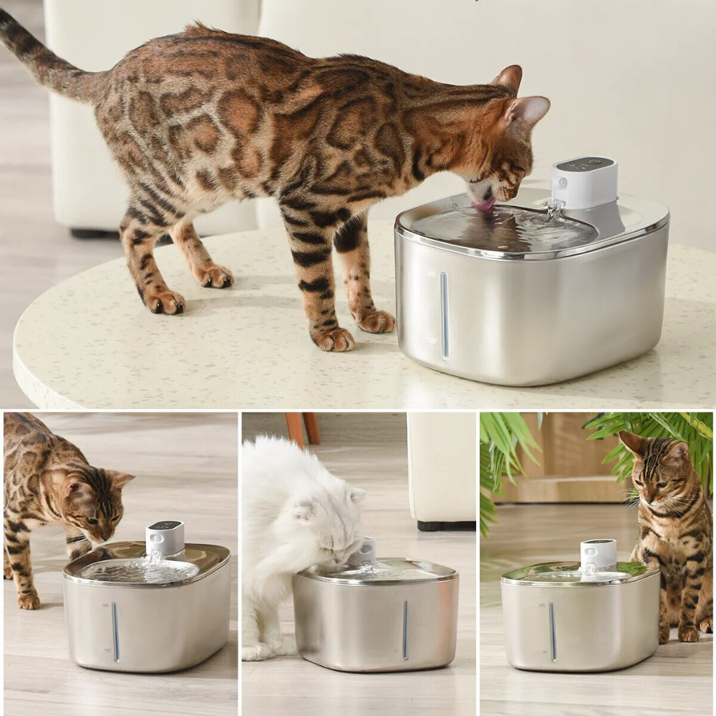 New The KittySpout - Wireless Fountain - 4 Month: Wireless KittySpout + 8 filter sets + free gift