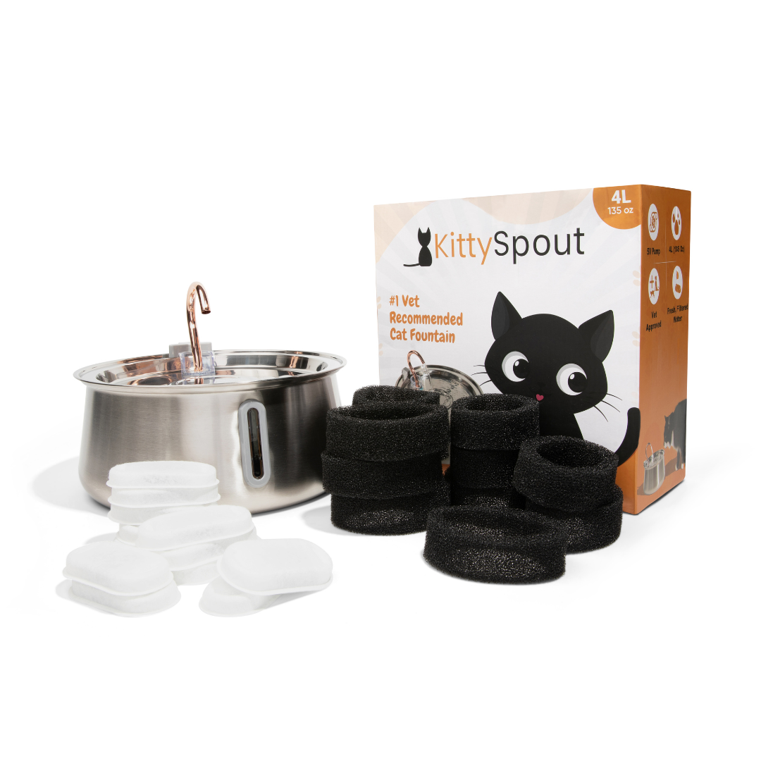 The KittySpout™ 2.0 - Health & Happiness Cat Kit