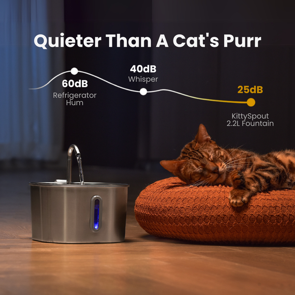Whisper-Quiet Pump [Cats Don’t Notice]