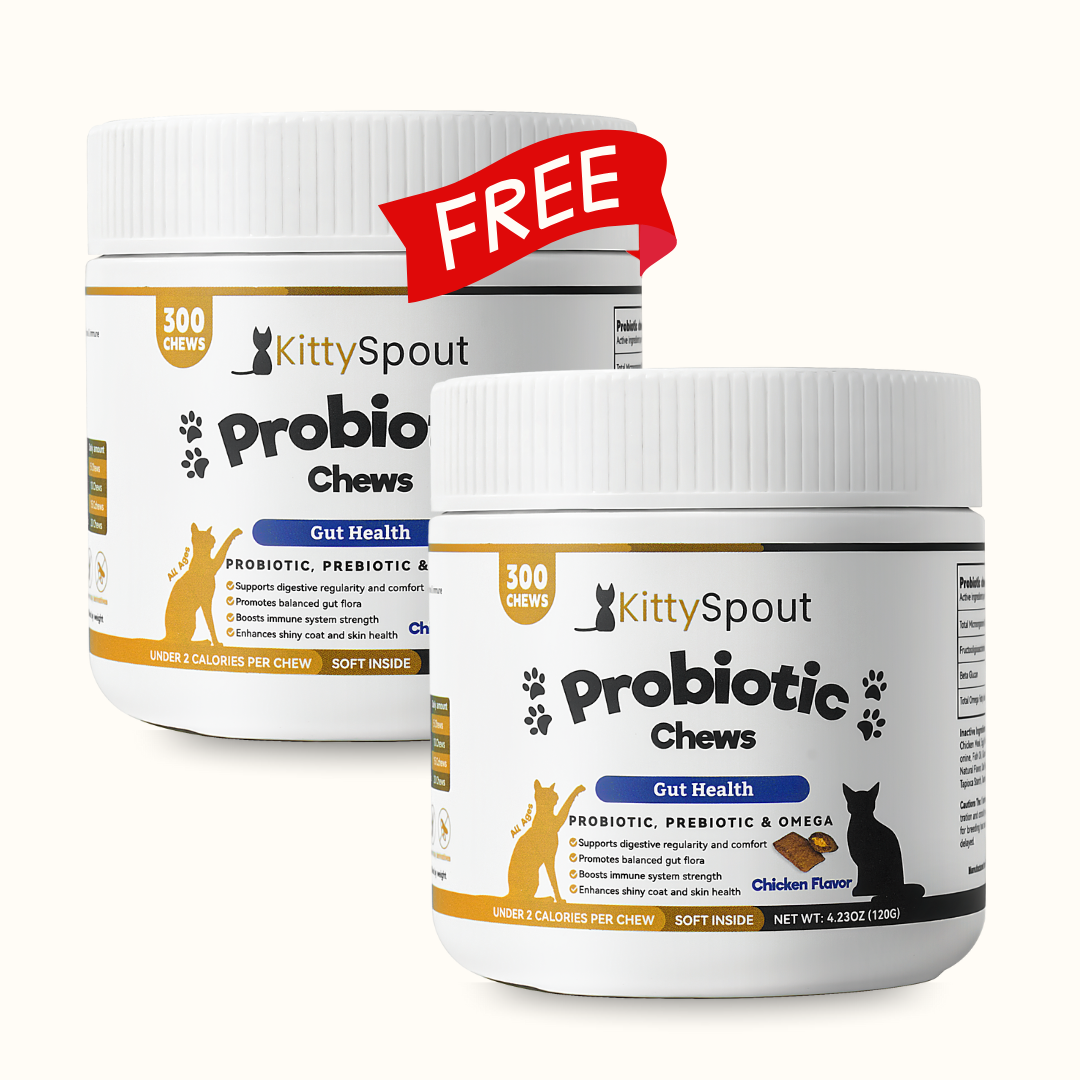 Probiotic Chews For Cats