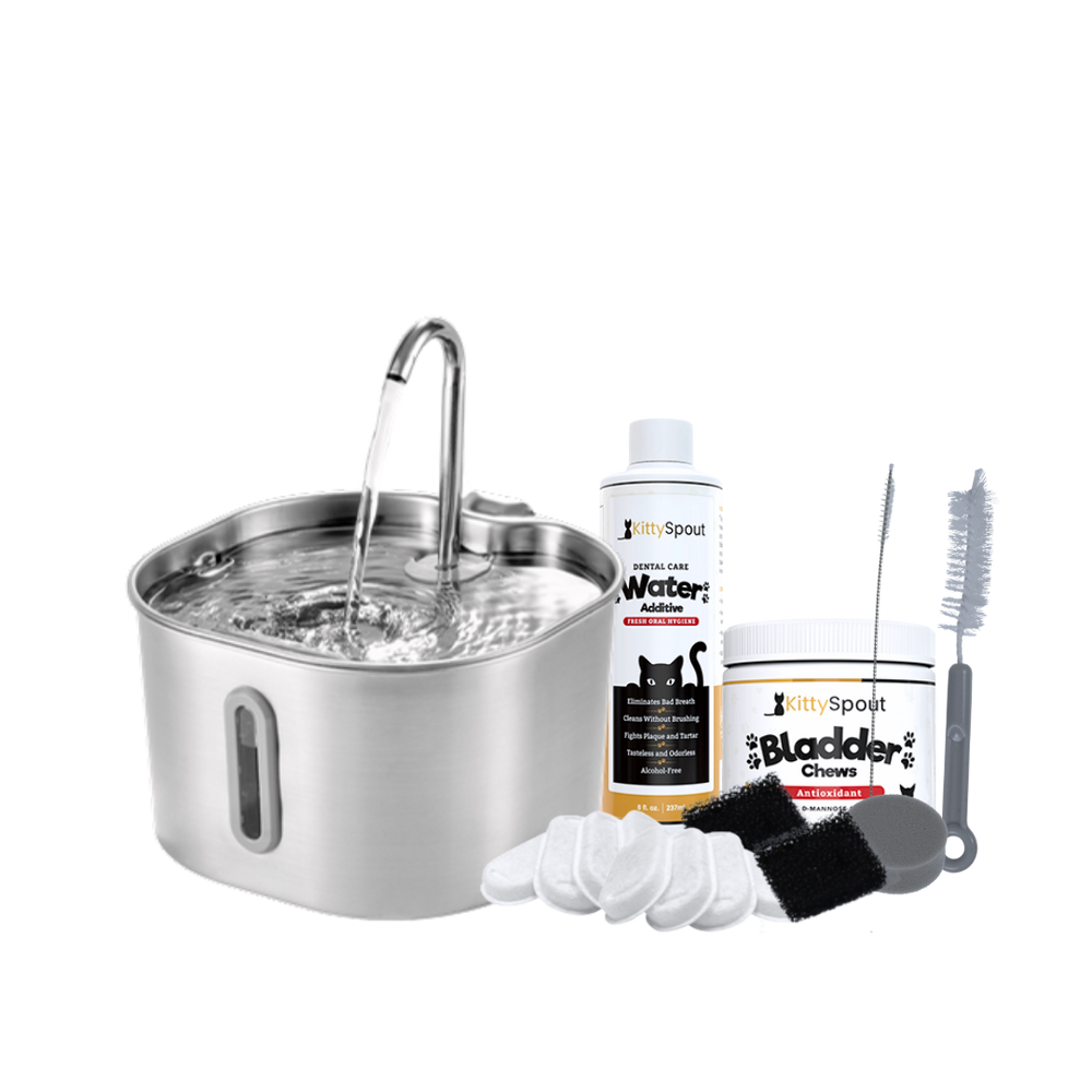 The KittySpout™ - 2.2L Hydration & Health Bundle