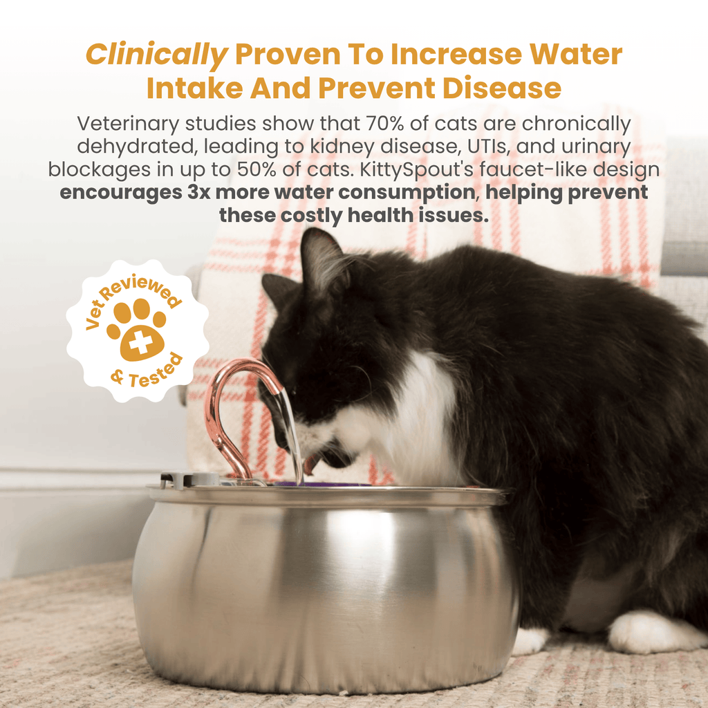 KittySpout Value Bundle
