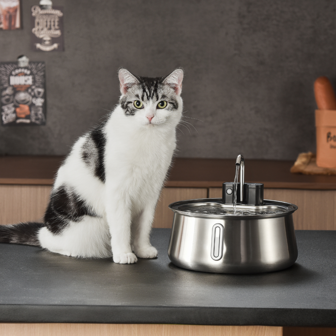 8x KittySpout™-filter - 8 månaders leverans