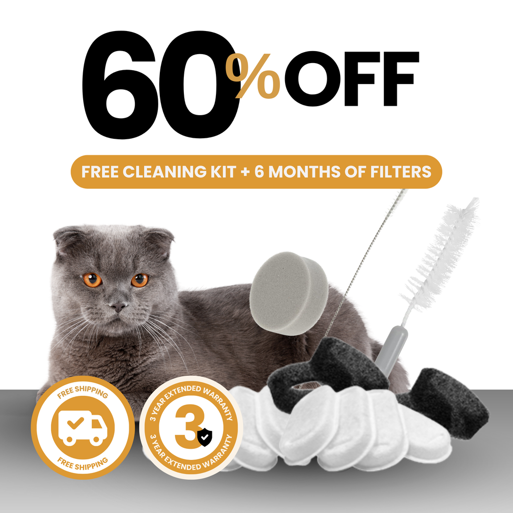 Wireless 2.0 & 2.2L Fountain Filters 6-month Subscription