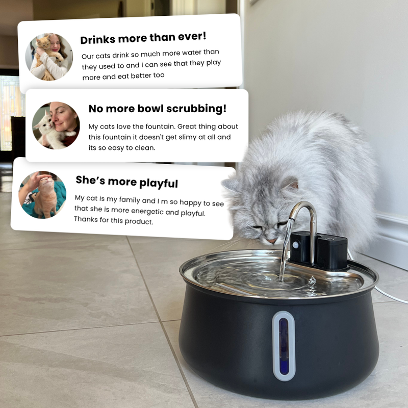 The KittySpout™ - Wireless Fountain 2.0