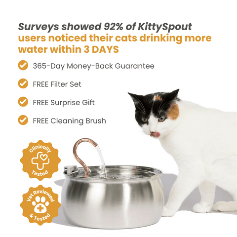 Le KittySpout™