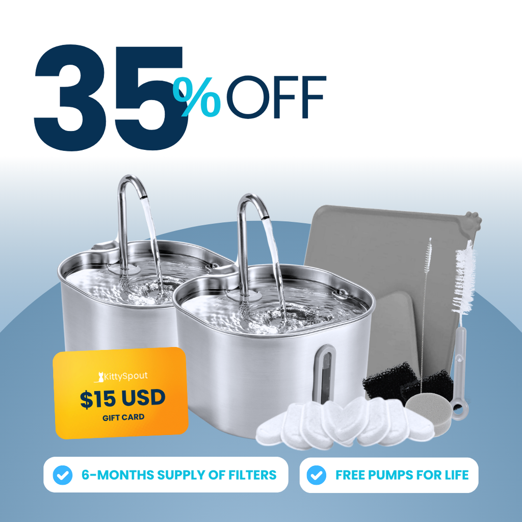 The KittySpout™ - 2.2L Big Cat Family Bundle