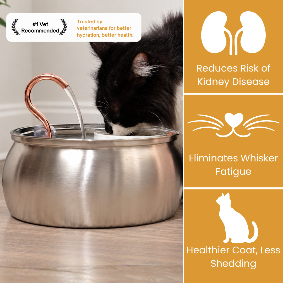 Der KittySpout™