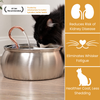 The KittySpout™ - Health And Happiness Cat Kit