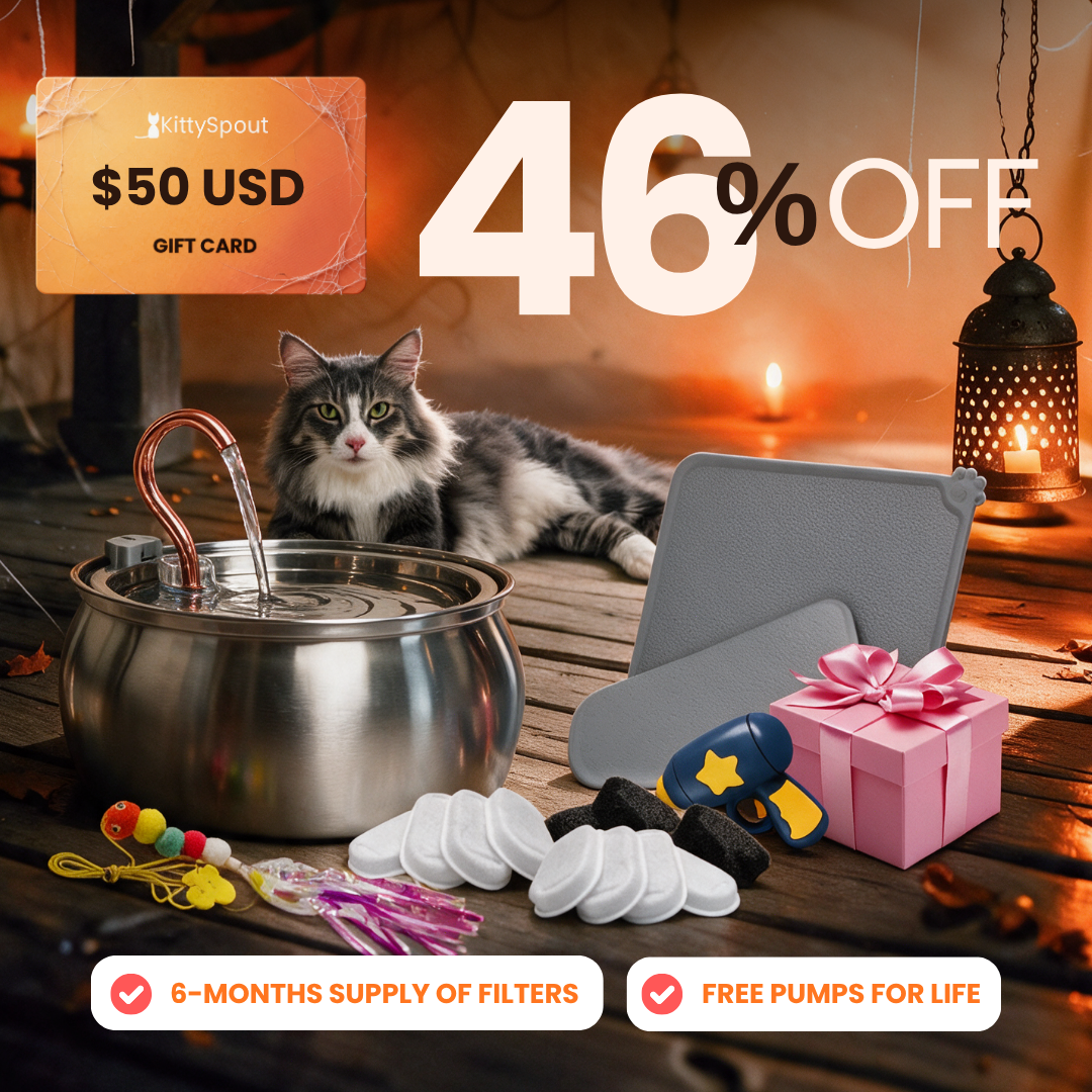 KittySpout Value Bundle 4L flash sale bundle