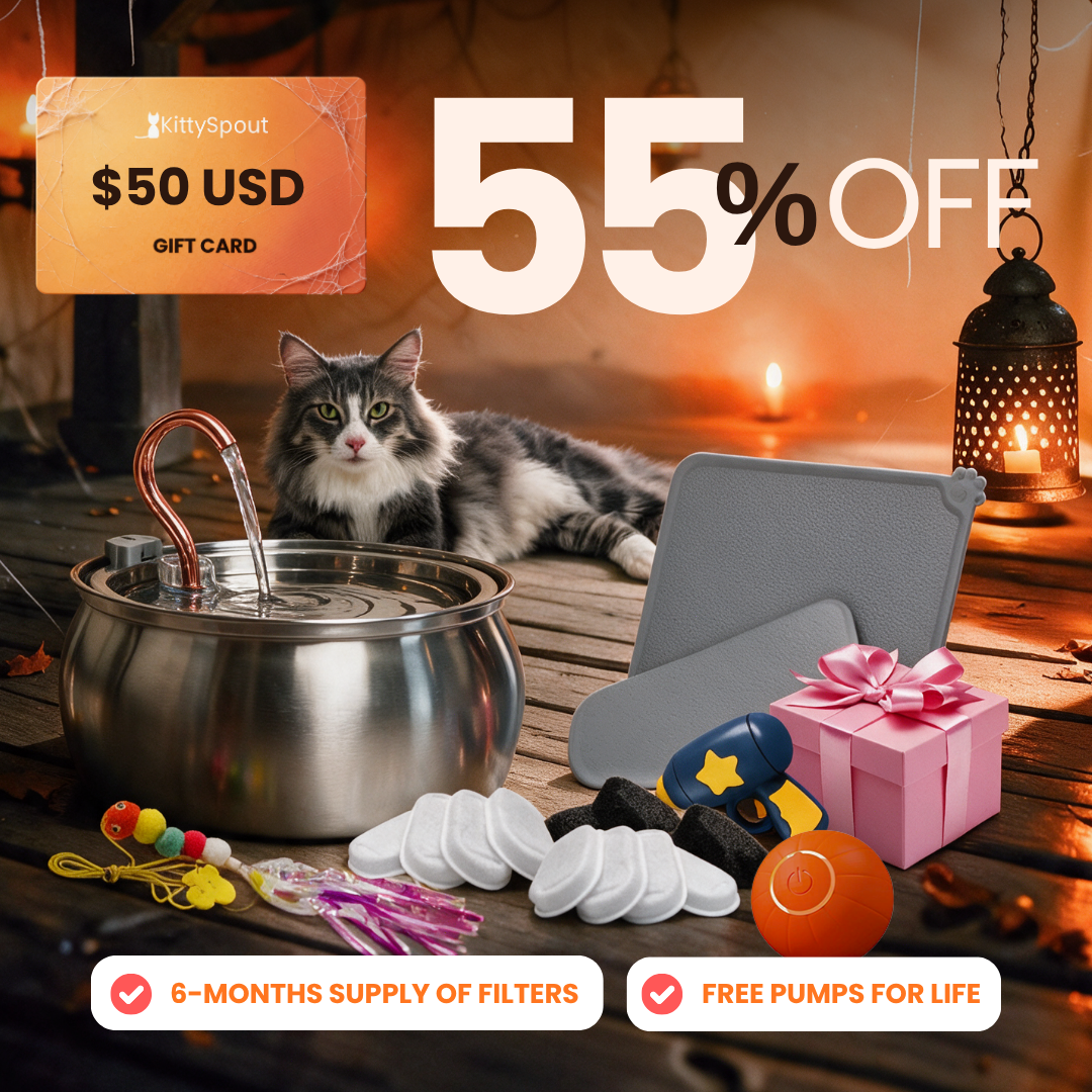 Hydration & Playtime Value Bundle 4L flash sale bundle