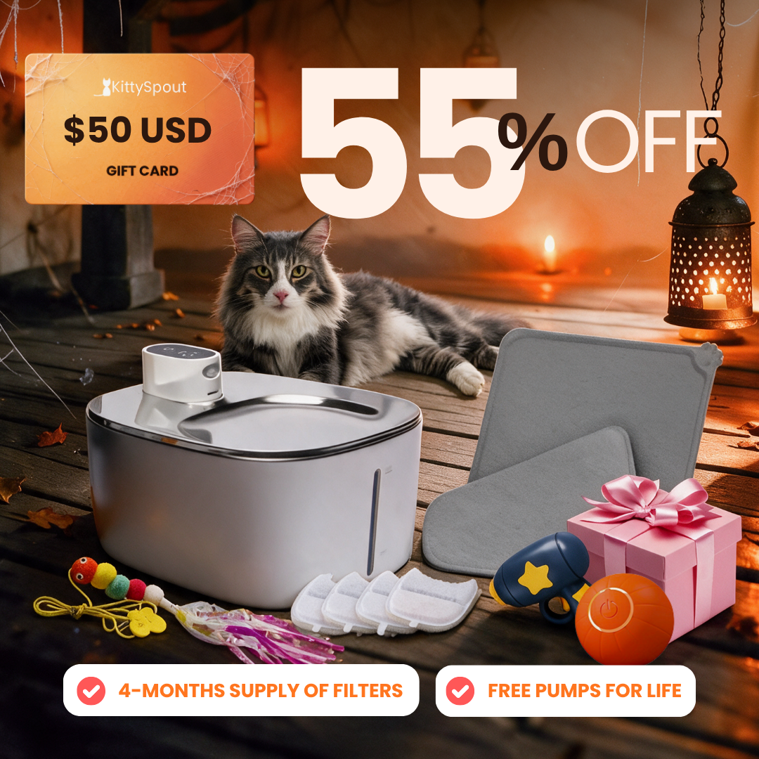 Hydration & Playtime Value Bundle Wireless flash sale bundle