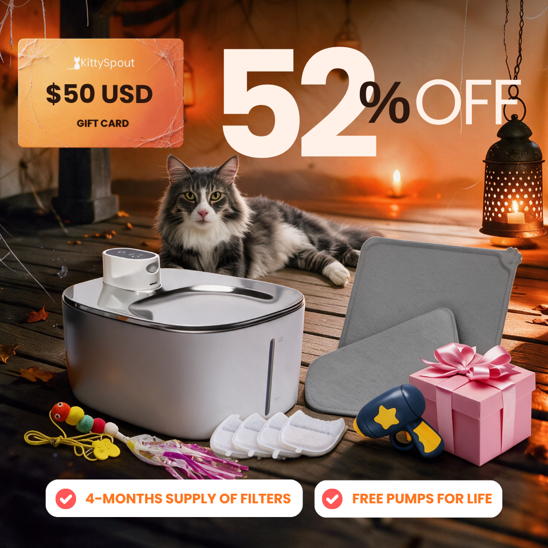 KittySpout Value Bundle Wireless flash sale bundle
