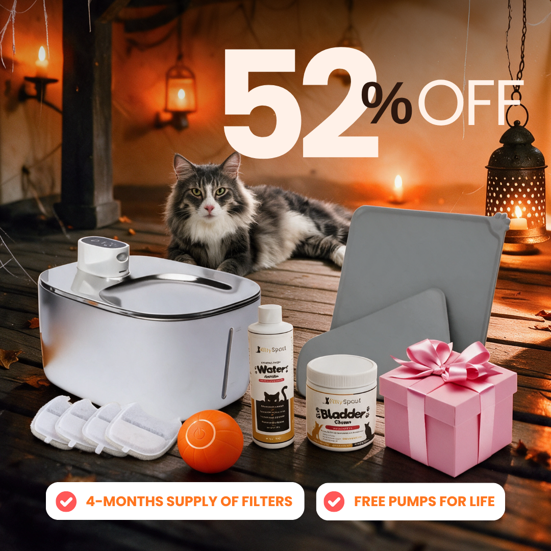 Hydration & Health Bundle Wireless flash sale bundle