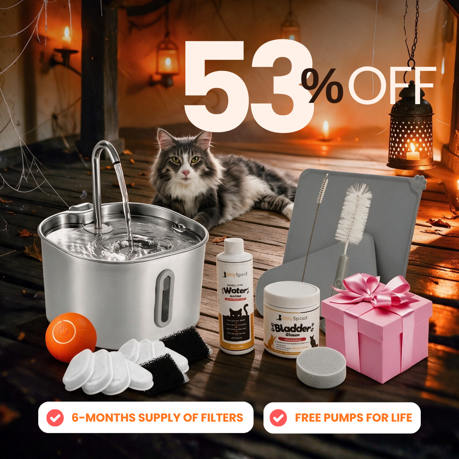 hydration-health-bundle-1 flash sale bundle