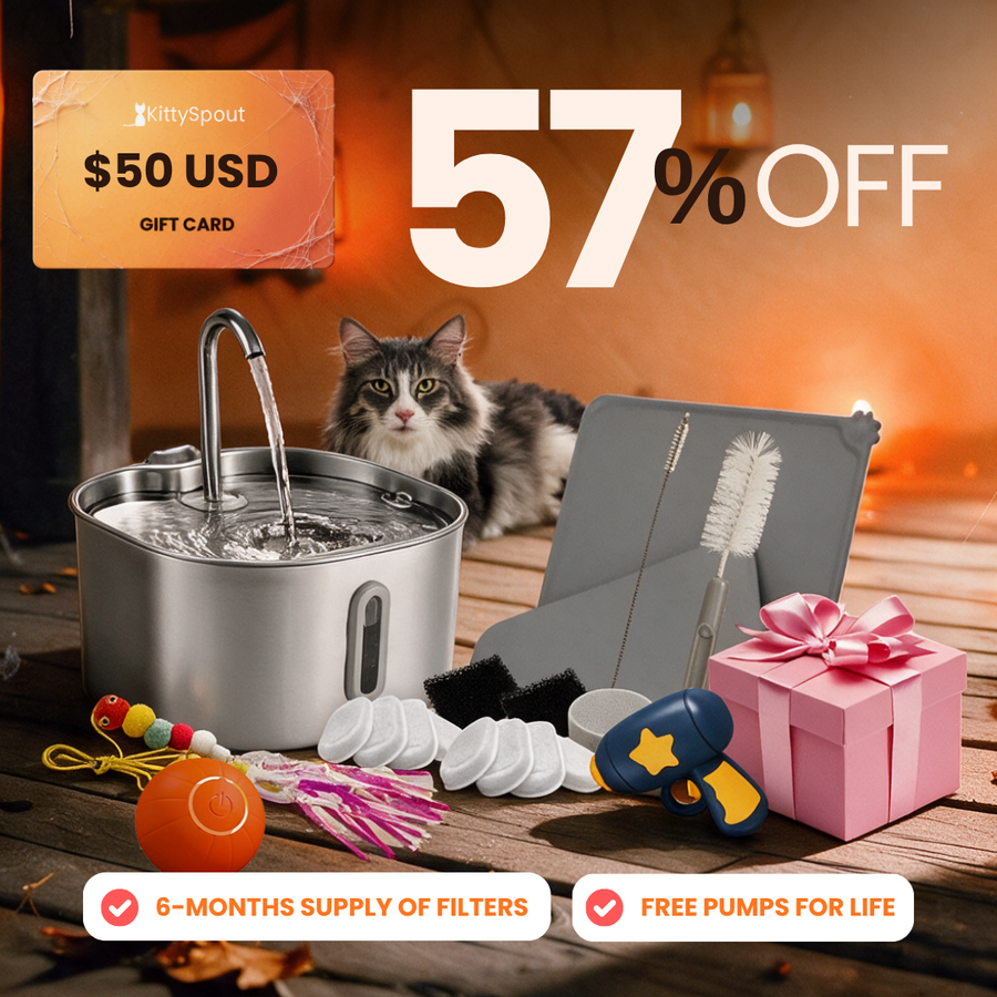 hydration-playtime-value-bundle flash sale bundle
