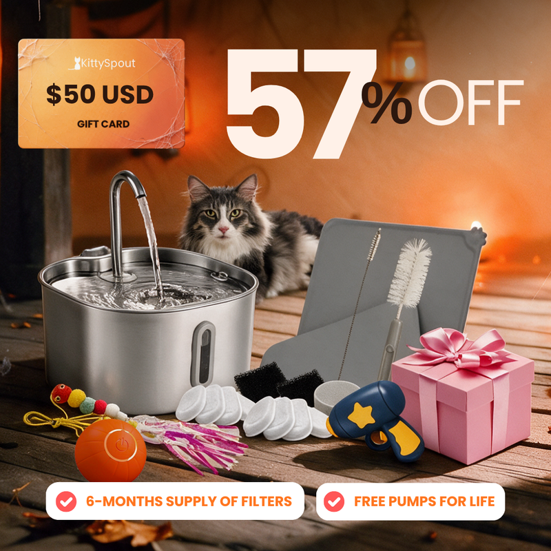 hydration-playtime-value-bundle flash sale bundle