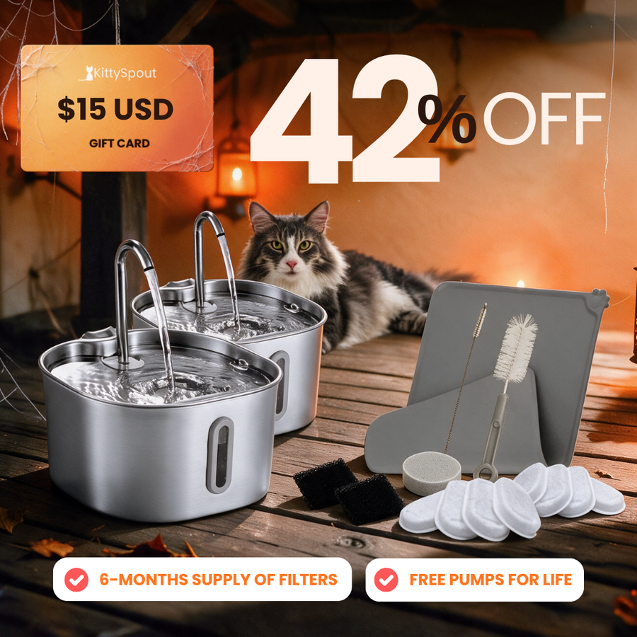 big-cat-family-bundle-1 flash sale bundle