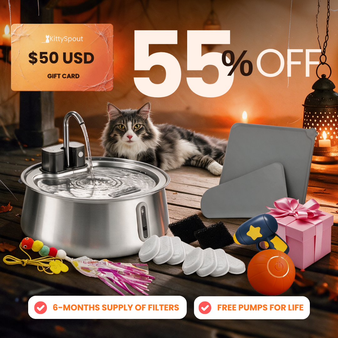 Hydration & Playtime Value Bundle Wireless 2.0 flash sale bundle