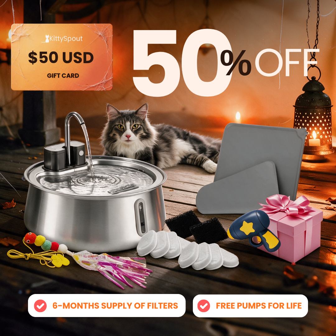 KittySpout Value Bundle Wireless 2.0 flash sale bundle