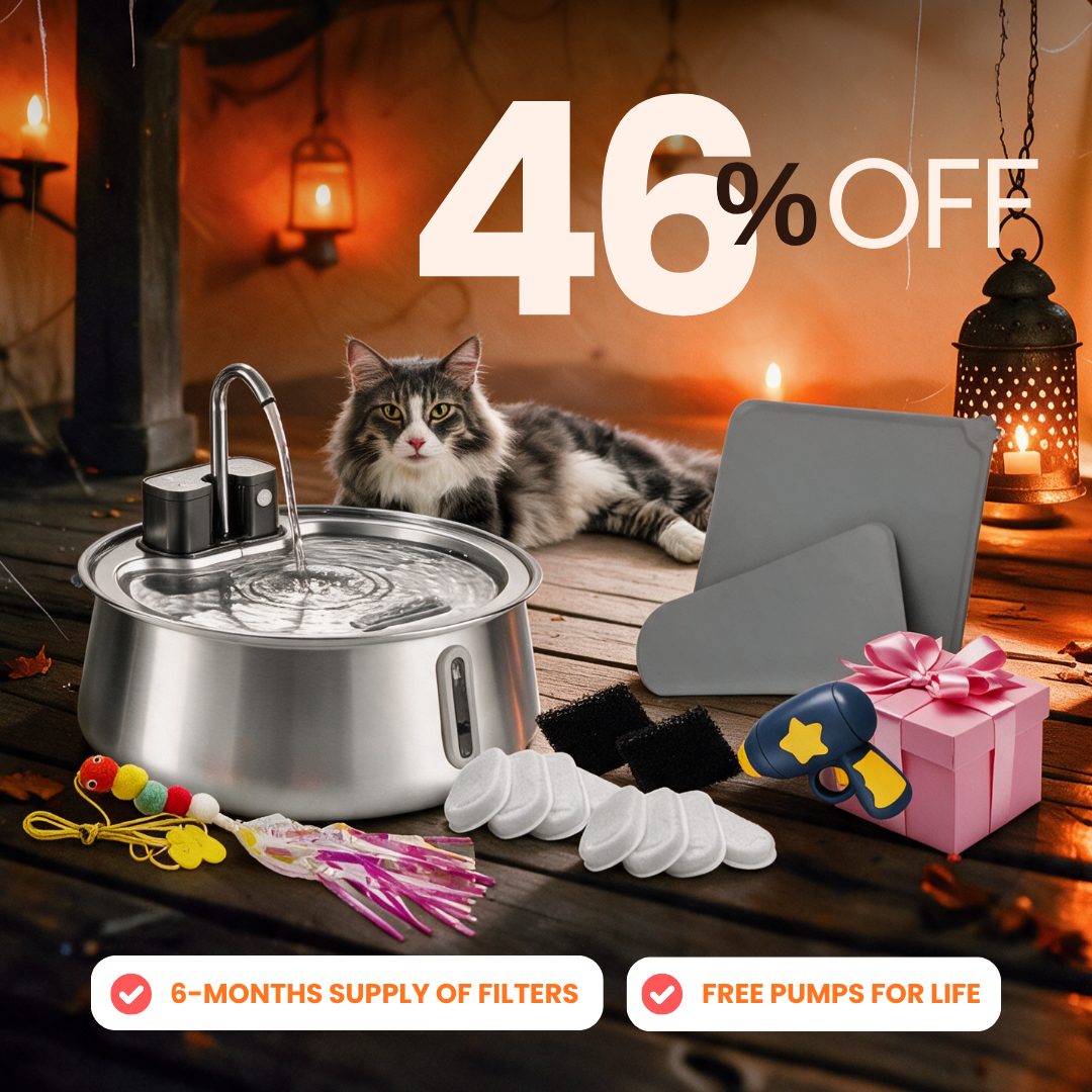Purrrfect KittySpout Kit Wireless 2.0 flash sale bundle