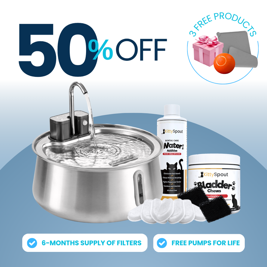 Wireless 2.0 Hydration & Health Bundle