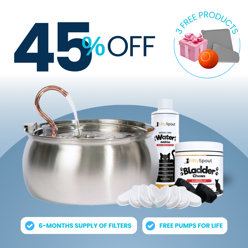 Hydration & Health Bundle