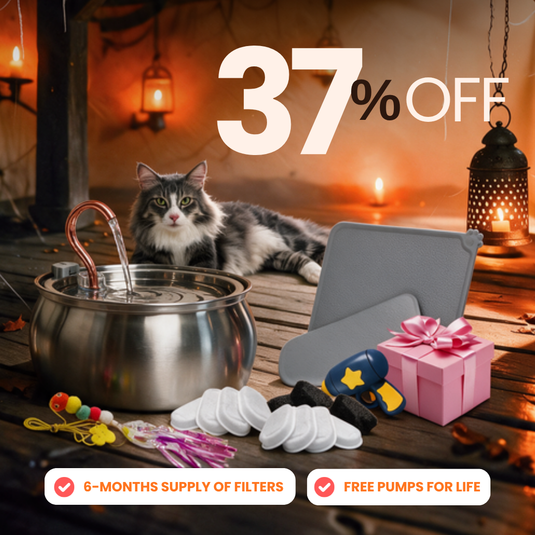 Purrrfect KittySpout Kit