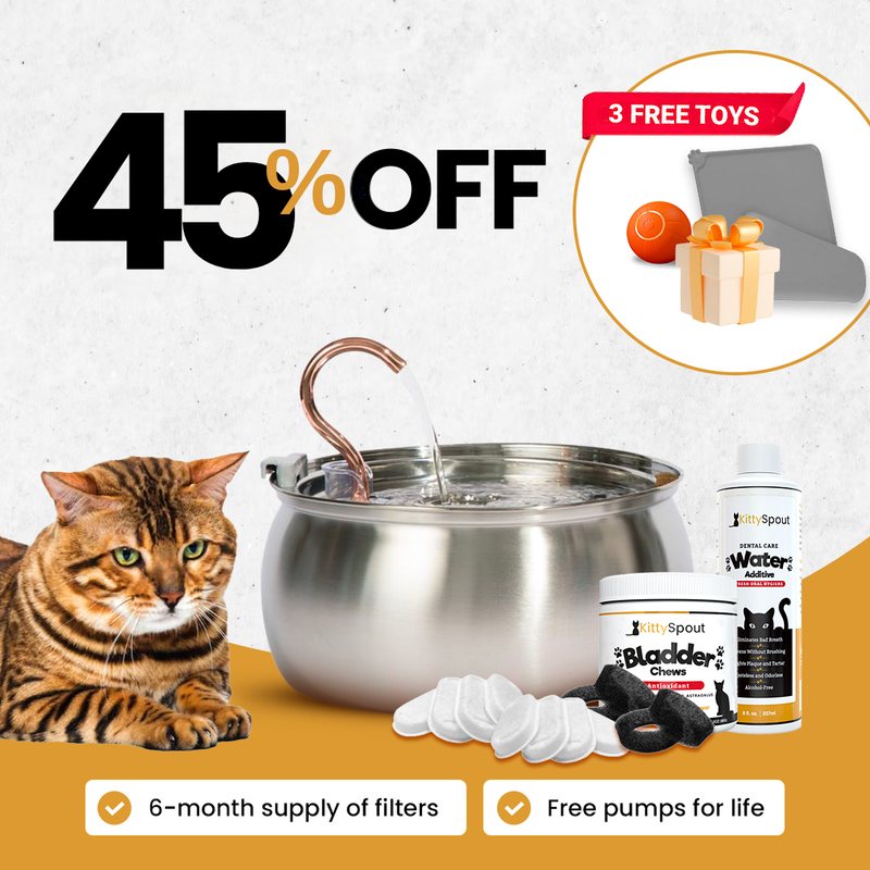 Hydration & Health Bundle