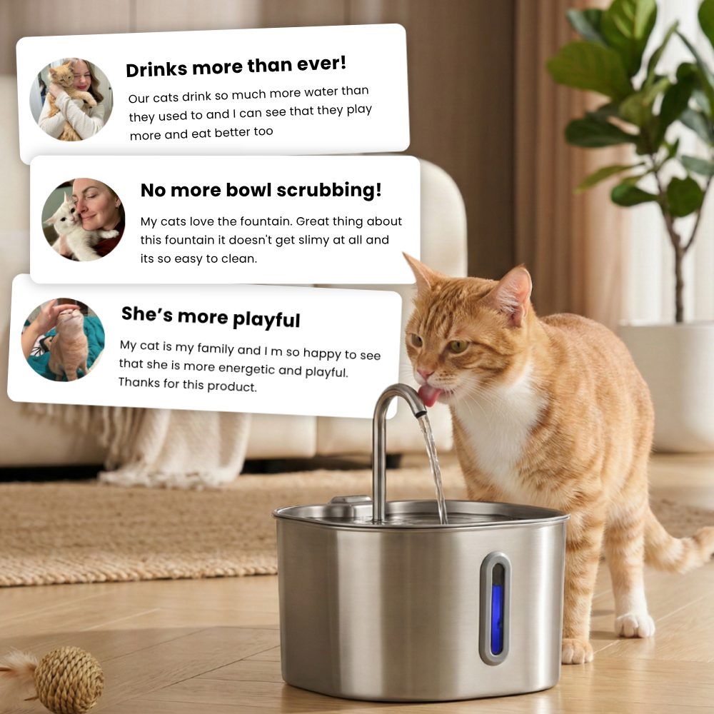 Kittyspout placeholder image