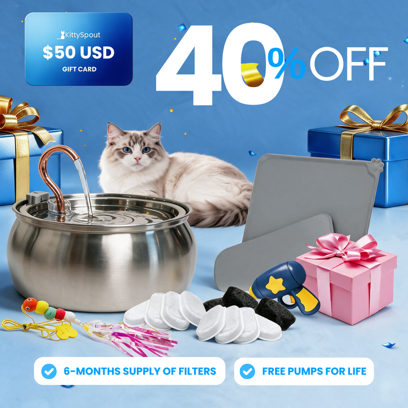 KittySpout Value Bundle