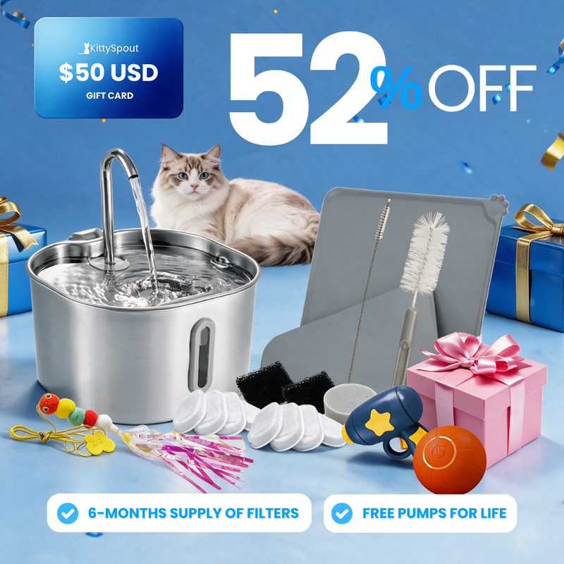 Hydration & Playtime Value Bundle