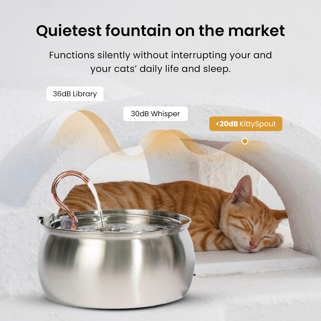The Purrr-fect KittySpout Kit