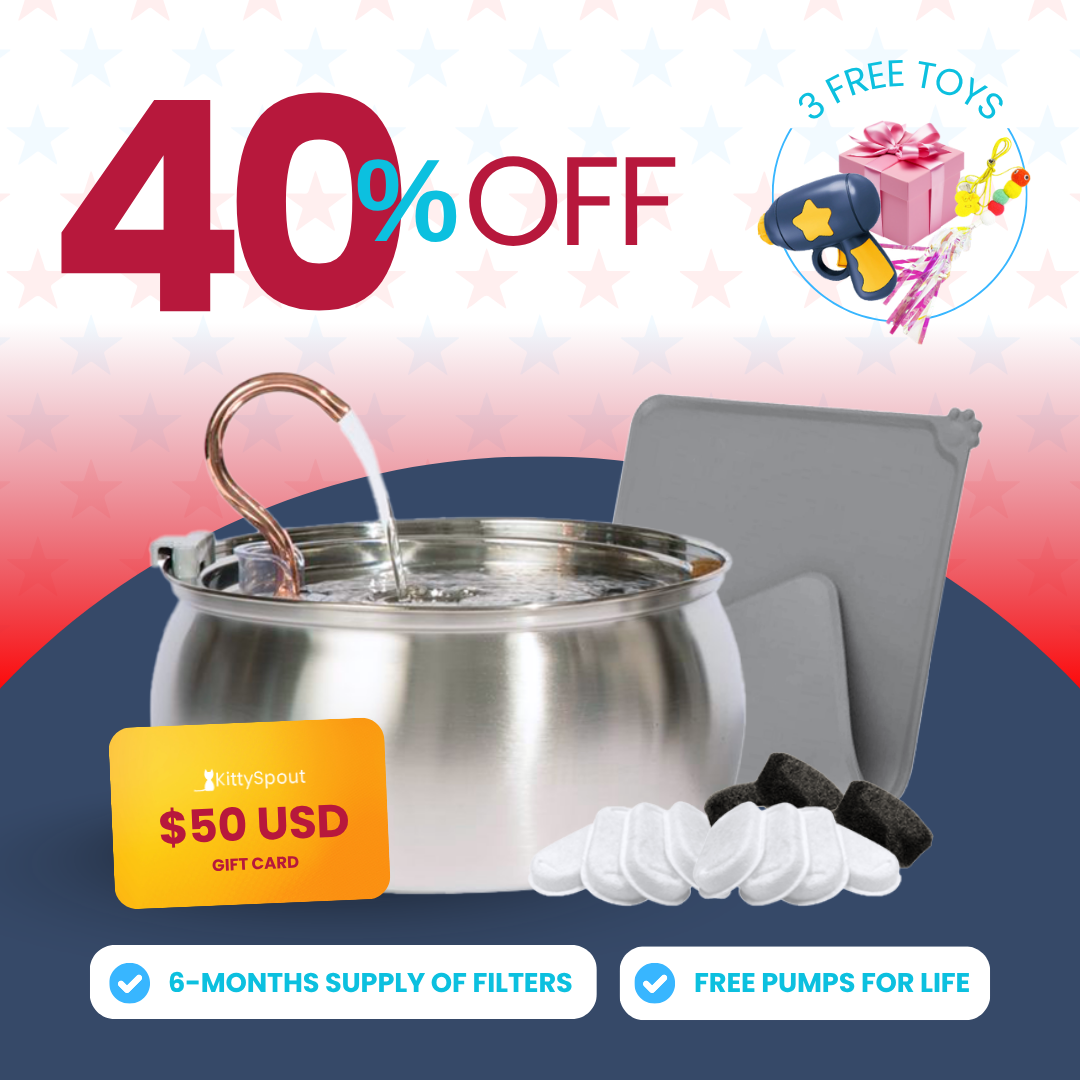 Early 4th of July Sale