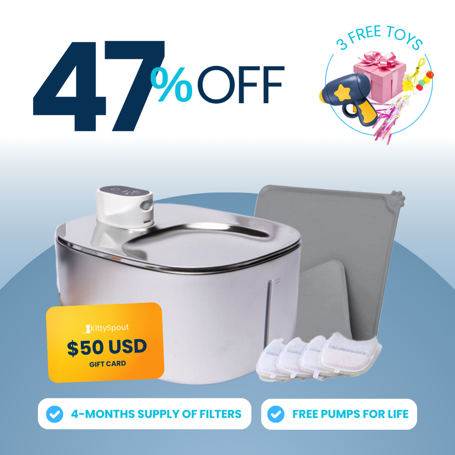 Wireless KittySpout Value Bundle