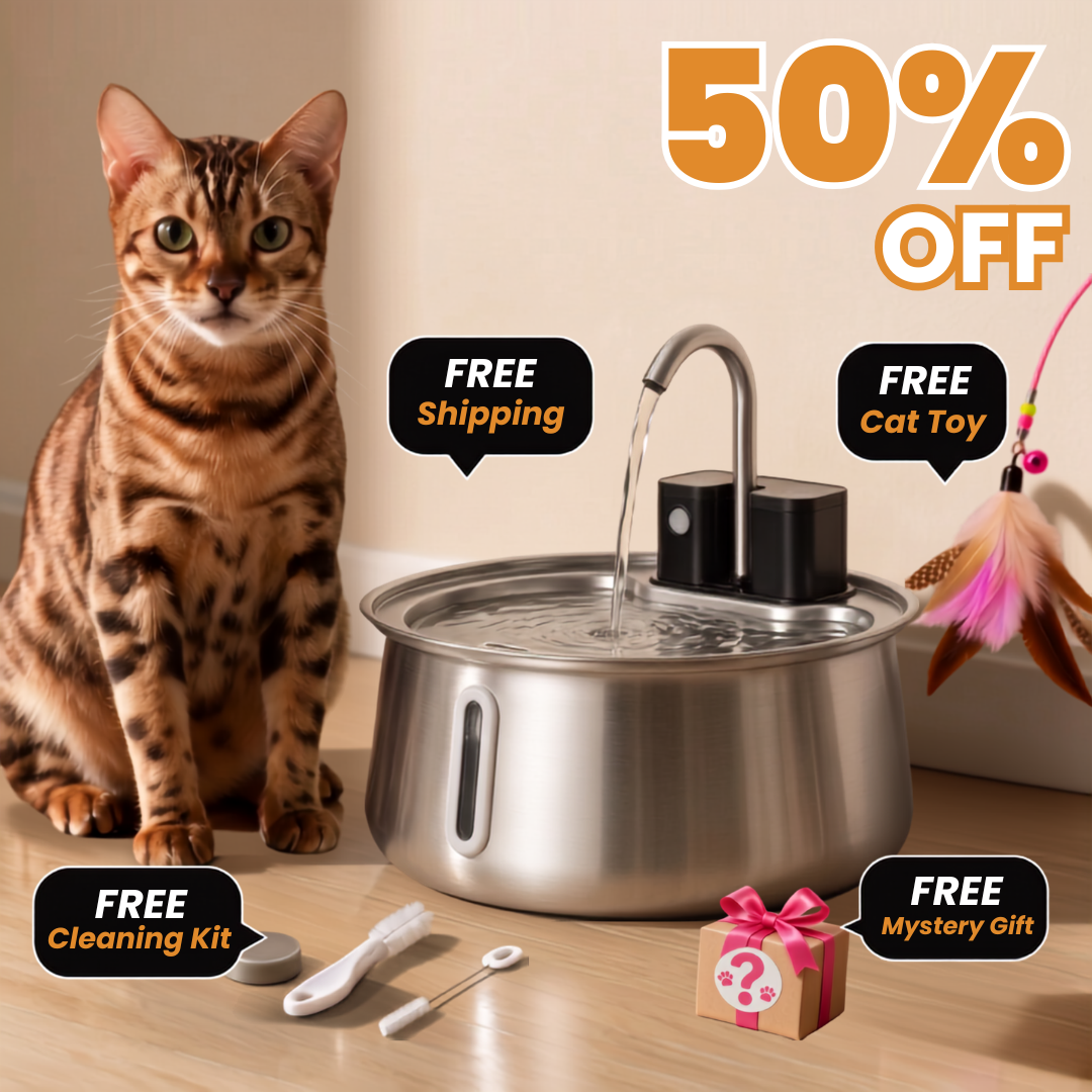The KittySpout Wireless 2.0 fountain with its free gifts