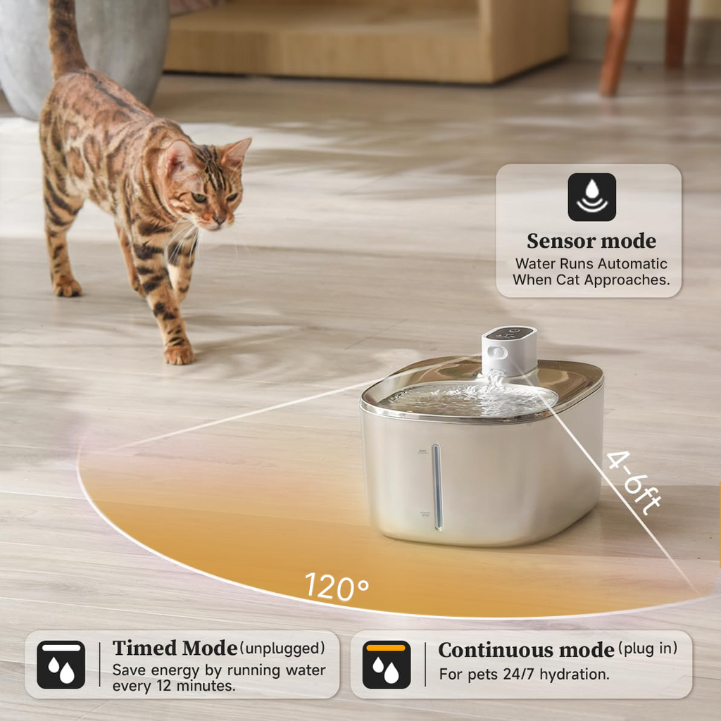 Refurbished The KittySpout - Wireless Fountain - 4 Month: Wireless KittySpout + 8 filter sets + free gift