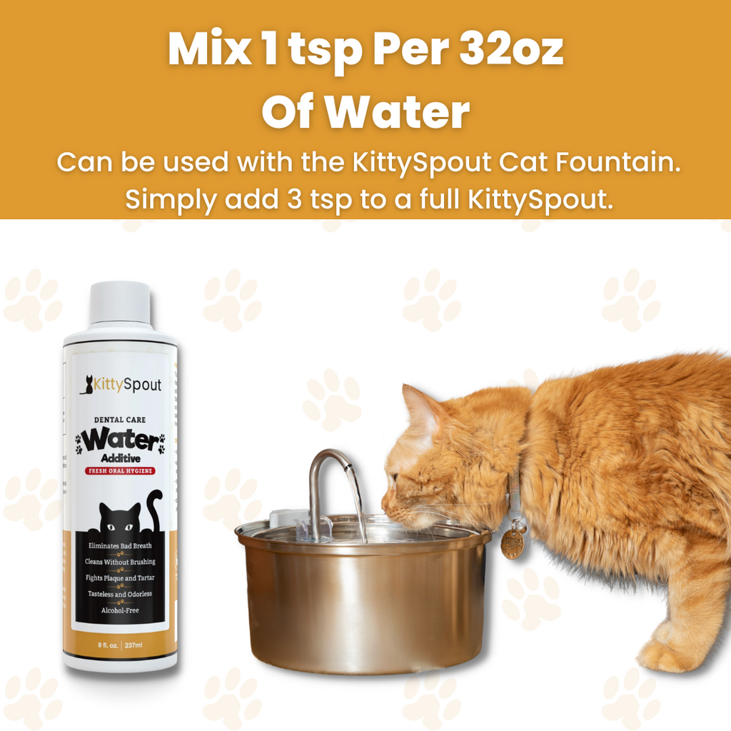 Dental Care Water Additive