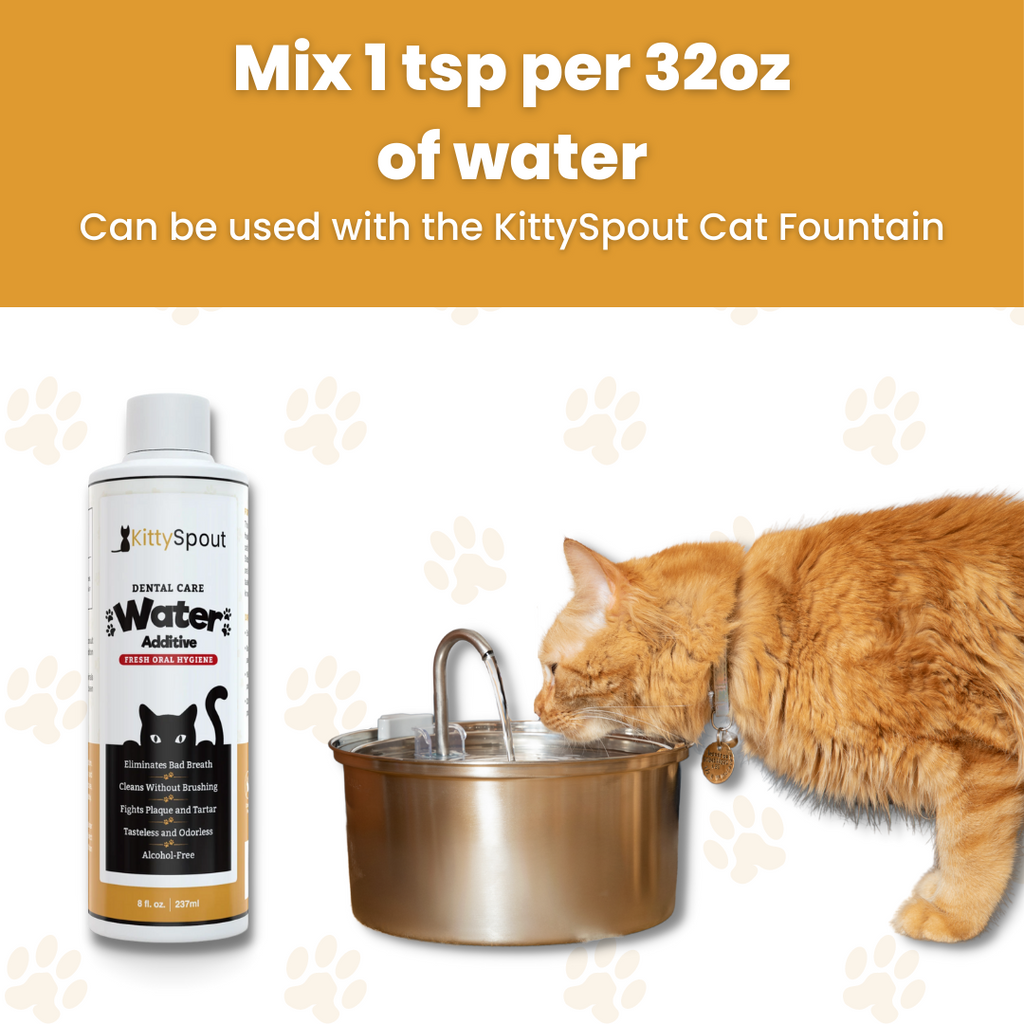 All In One Supplement Bundle